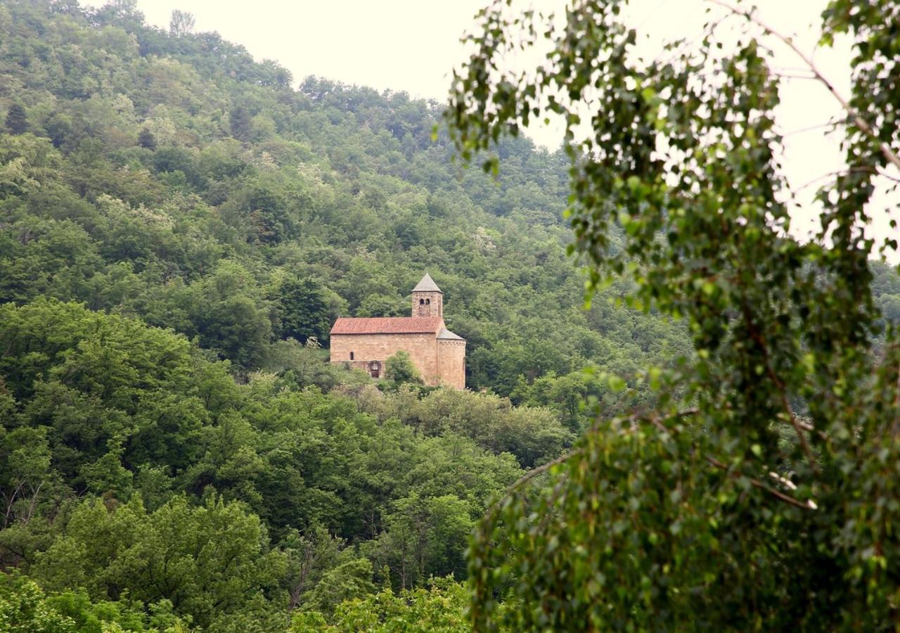 Beau Vallon - Gite Et Chambres D'Hotes Pyrenees-Mediterranee - Pays Catalan Sahorre Dış mekan fotoğraf